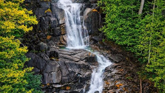 A hidden waterfall deep inside a dense forest