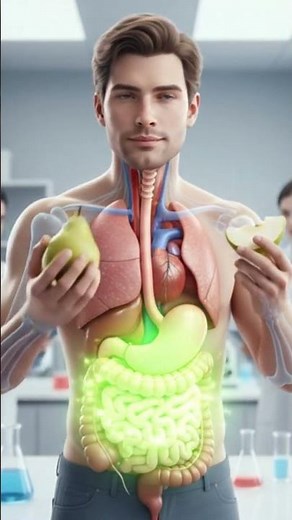 Pear Benefits – Fiber for Gut Health & Natural Digestion | Human Digestive System Animation #shorts