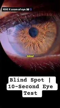 Blind Spot | 10-Second Eye Test | Try This Now