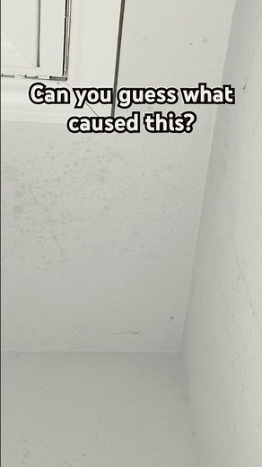 Is Your Ceiling Trying to WARN You of a BIGGER Problem?