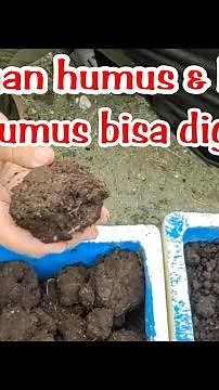difference between humus and compost, when should humus be used. #humus #compost