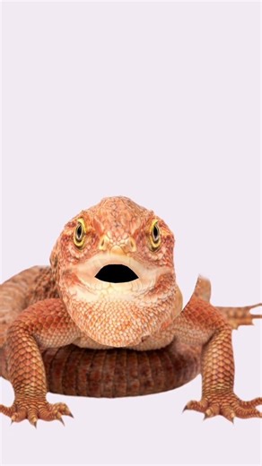 13 de febrero de 2026