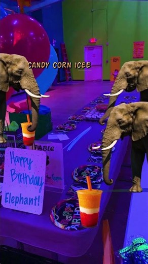 ELEPHANTS HAVE ENTERED URBAN AIR