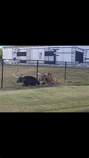 14 reactions | Touring the Johnson Space Center and participating in their High Performance Accelorator Lab was a valuable experience. After tours with experts in the space industry, we participated in various planning and decision-making exercises that they use in setting goals and preparation for missions. Definitely a memorable day! #spacecenterhouston #johnsonspacecenter #houston #NARNXT2025 #realtoramy | Amy Peterson | Facebook