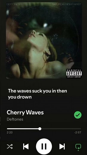 cherry waves - deftones #lyrics #deftones #fyp