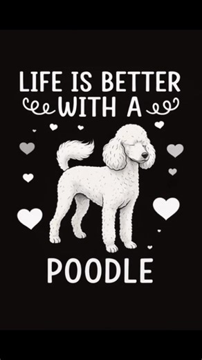 Life is better with a Poodle! 💫 #PoodleLove #LifeWithPoodle #FluffyFriend #DogLover #PoodleVibes | About Poodle