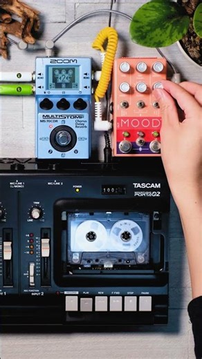 How I Play the Cassette Tape｜Ambient Tape Loop Texture #shorts