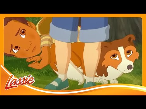 🐶 Adopt-a-Puppy Day 💖| The New Adventures of Lassie | Cartoons for Kids