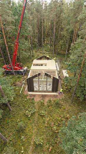 Building a Cabin on Stilts: A Guide to Forest Retreats