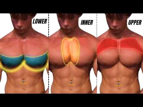 3 BEST CHEST WORKOUT AT GYM