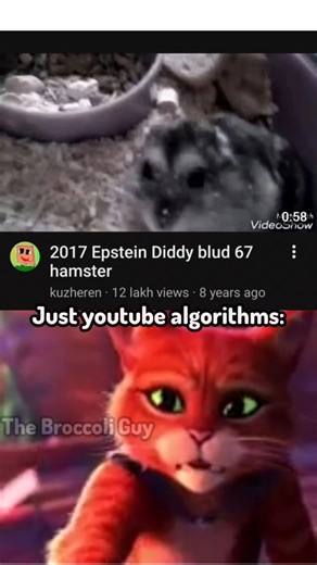 Youtube algorithm #meme #funny #fun #lol #gelnox #zdak #comedy