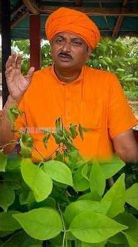 ఒకే ఒక్క డోస్ తో నీళ్ల విరేచనలకి చెక్ డ్యామ్ #natural #ayurved #yt #tips #ravivarma #remedy #health