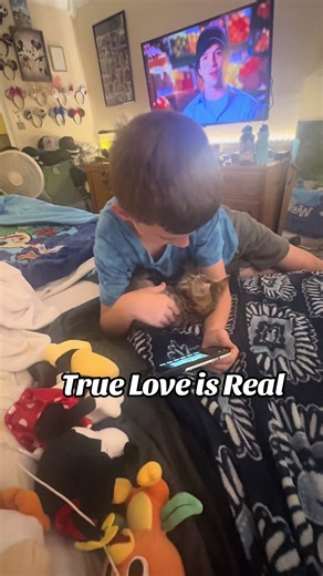 They were made for each other 💙 🐾 #catsoftiktok #fyp #mittensthekitten #polydactylcat #cat