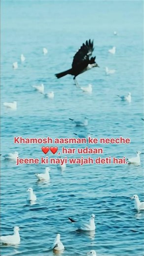 Wings of Hope | Emotional Nature Documentary | Feel the Silent Story #wildlifeshorts #nature #viral