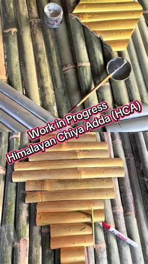 हिमालयन चिया अड्डा (@hca.tea.hub)’s videos with original sound - हिमालयन चिया अड्डा