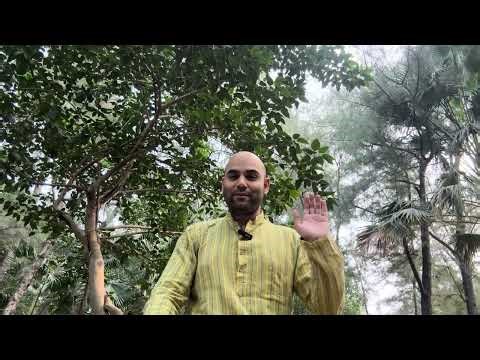 There Is No "Self-Awareness" — Only Pure Awareness