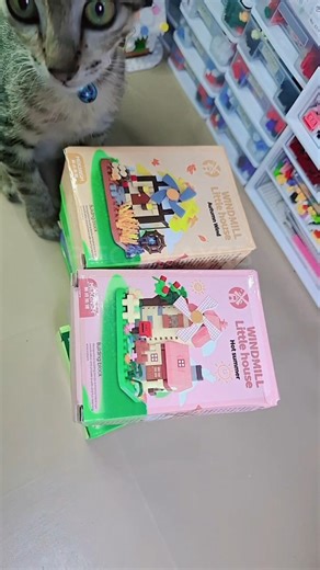 ASMR Unboxing Mini Bricks 🏠✨ | Building a Cozy Mini House #bricks #satisfying #minihouse