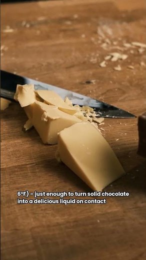 The Secret to Chocolate's Perfect Melt! #bitebureau #chocolatescience