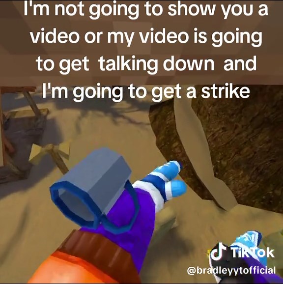 Non-Recommendation of the Disturbing Website Seegore