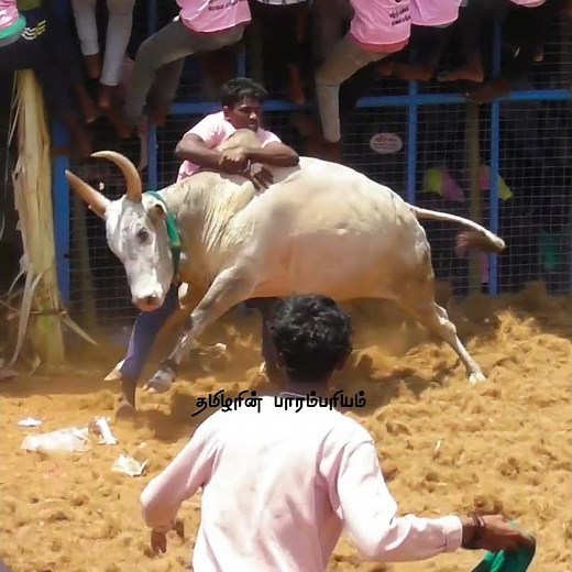 சூப்பர் பிடி