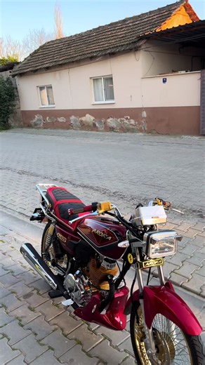 Discover the iPhone 13 Features