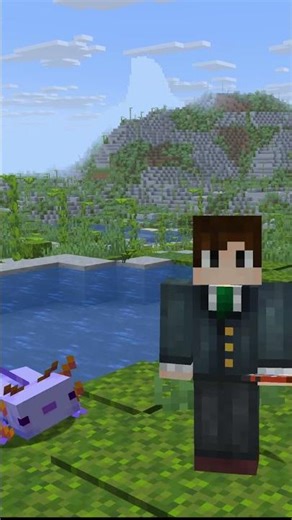 Why BLUE Axolotl is RARE in Minecraft?