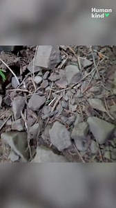 8K views · 287 reactions | 'Mom, grab his hand!' Watch a stranger help a woman whose mother slipped off the edge of a cliff. | USA TODAY | Facebook