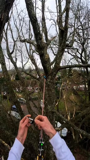 How to build my favourite SRT Redirect! Building this redirect is super simple with minimal gear required... Only a Notch CE quickie and a Petzl RollclipZ for the most efficiency possible. This also builds your 3:1 advantage. Simply clip your Notch quickie to your climbing rope, take a bite of rope with the quickie and pass it around the point to redirect. Then pass another bite through the quickie, clipping it back to your device or bridge. You can now work from the redirect once you've set it 