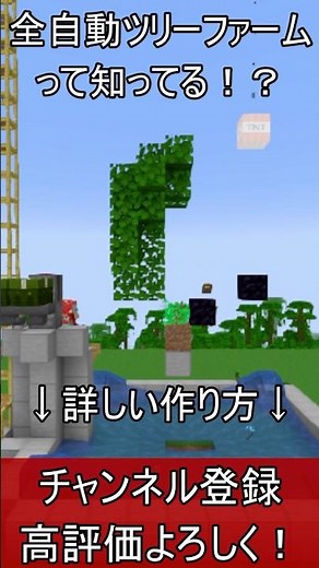 【Java】絶対作れ！全自動ツリーファームで原木無限装置の作り方！【便利装置・回路・トラップ】#マイクラ #マインクラフト #minecraft #Minecraft　#shorts
