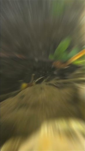 Underwater iPhone Camera 😍 | Dil Khush Kar Dene Wala Shot | Chakrata Waterfall Magic 💦📱🏔️