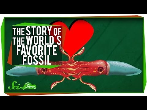 The Story of the World's Favorite Fossil