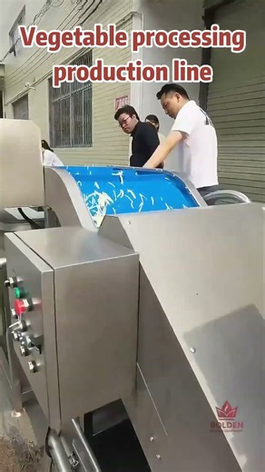 vegetable washing production line