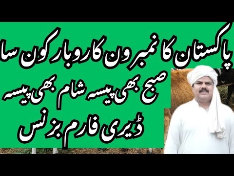 How to start profitable dairy farm business/