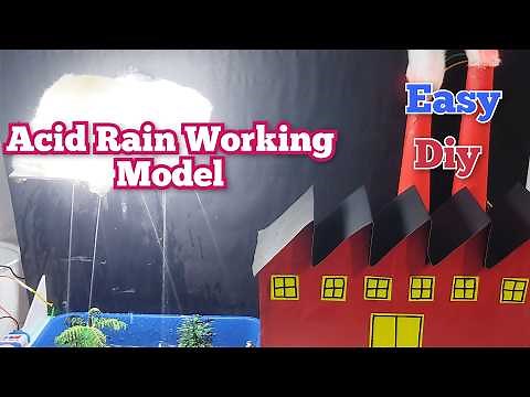 Acid rain working model | Science project #science