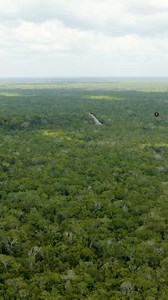 202K views · 4.1K reactions | Lost Maya City Uncovered Through LiDAR Technology | Ancient Library | Facebook