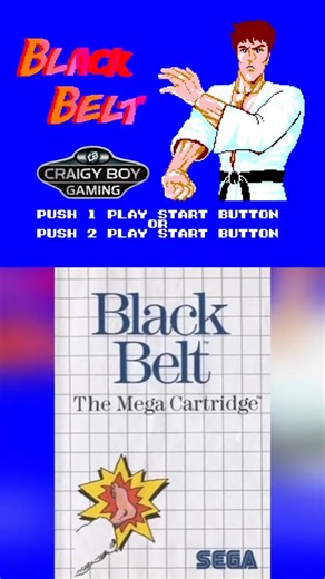 Black Belt (SEGA Master System) – A True Retro Knockout! #sega #retrogamingfun #mastersystem #8bit