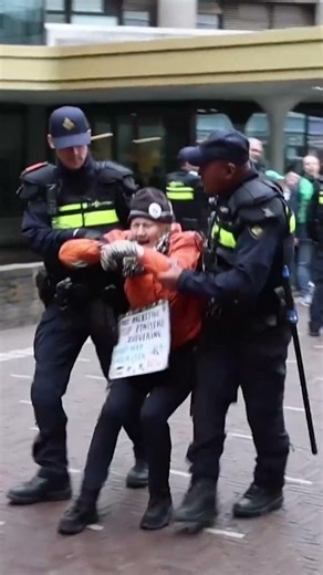 Pro-Palestinian PROTESTERS roughly HANDLED by POLICE in The Hague | Hart van Nederland