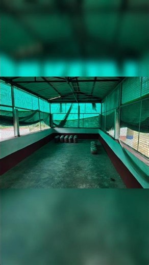 Best Substrate for Mushroom Farming #substrate #mushroomfarming
