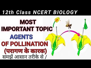 Agents of pollination | परागण के कारक | Pollination | agents of pollination class 12 | Bio knowledge