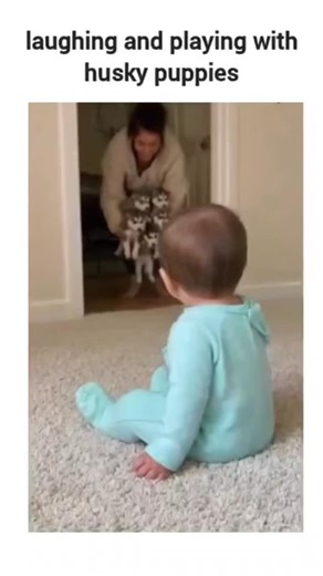 HypeMemerz on Instagram: "The instagram reel of infants laughing and playing with husky puppies in perfectly synchronized, endearing scenes, driving 1.6 million views and 108,000 likes in two days from a dog-focused account. User replies highlight authenticity doubts, noting overly ideal interactions; Grok's analysis identifies it as AI-generated via tools like Sora, citing challenges in safely staging multiple puppies with babies in reality. It exemplifies 2025's trend of AI-created wholesome p