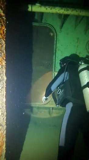 I Found a SUNKEN Ship... Then They Attacked! 🐍🚢