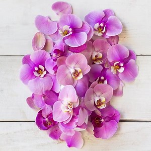 Want to maintain your color after your salon visit? The #Biolage ColorLast Shampoo is  for maintaining the depth, tone and shine ✨ of your color-treated hair! ⁣ ⁣ Here’s why ⬇️ ⁣ Gently cleanses to prevent unnecessary stripping of color⁣⁣ Low pH shampoo helps prolong color vibrancy | Matrix Professional Haircare & Color | Facebook