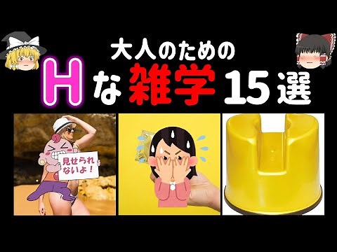 【ゆっくり解説】大人のためのHな雑学15選☆あなたは何個知ってる？