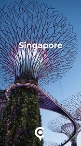 Zooming to Singapore asap #zoomtravelinsurance #besttravelinsurance #travelzooms | Zoom Travel Insurance | Facebook