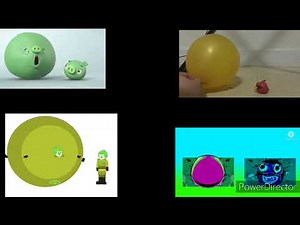 4 piggy tales puffed up