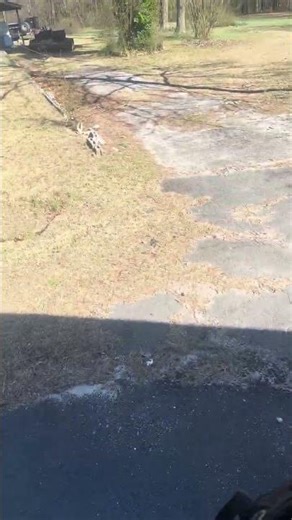 Bus 33 on a spare bus