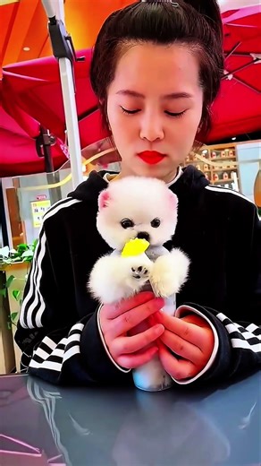 It's a Real Puppy 😍🩵