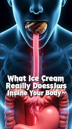 What Happens to Ice Cream Inside Your Body? | Realistic 3D Digestion