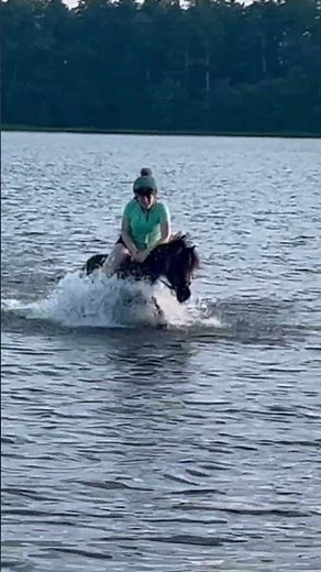 POV: the old Shetland pony of the barn 😂😂😂