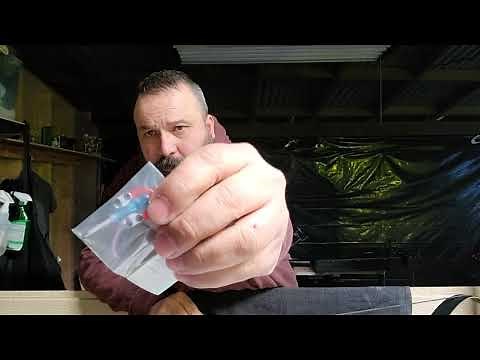 D loop on the Recurve